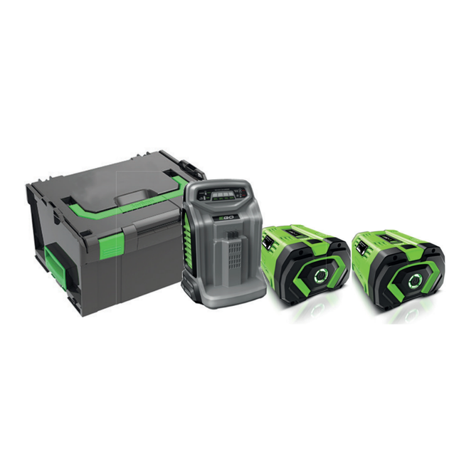 Akku Set mit 2 Akkus, Einzel-Schnellladegerät und Transportbox